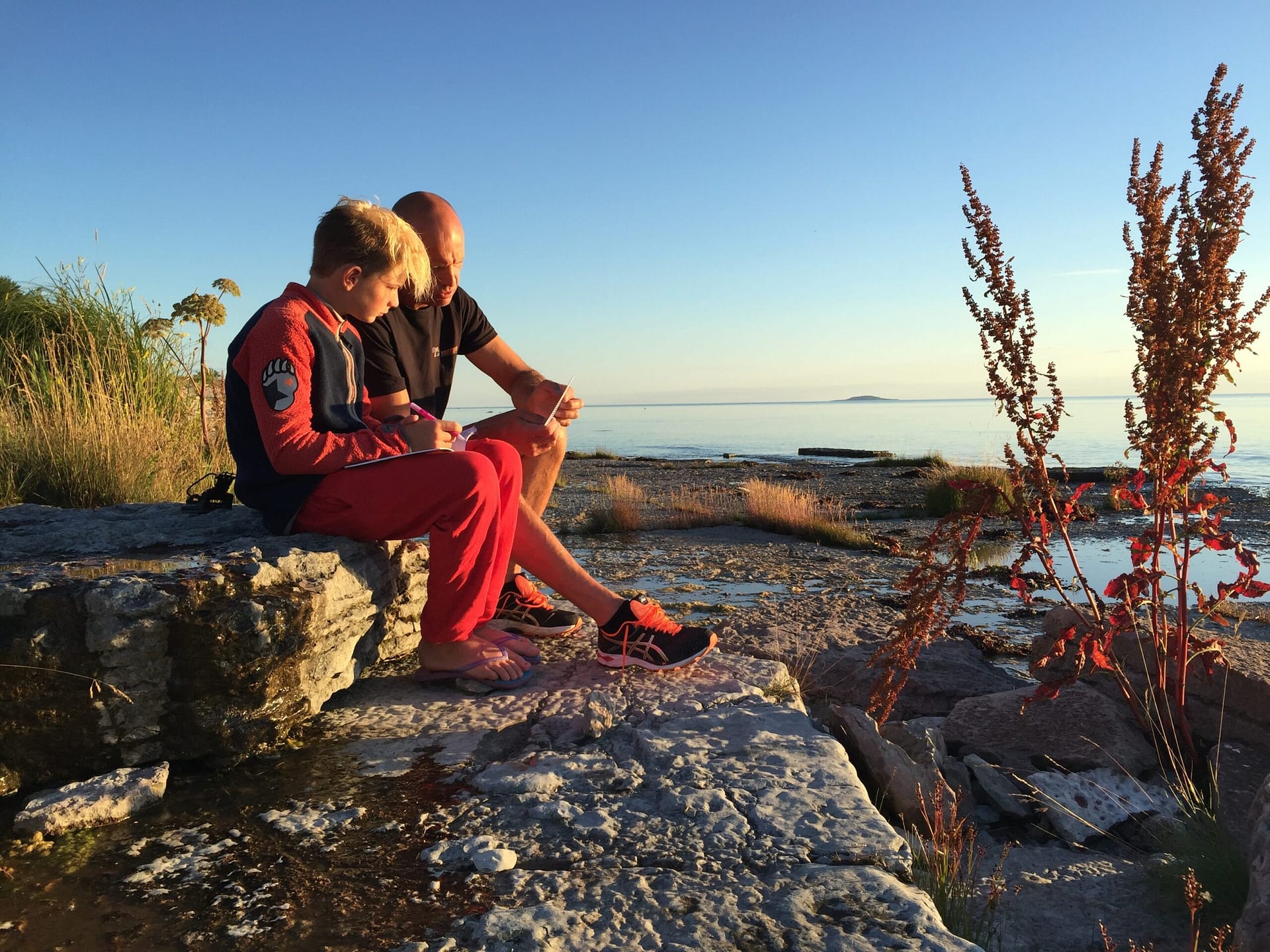 Kurs Reactivate 2 dyk inklusive utrustning