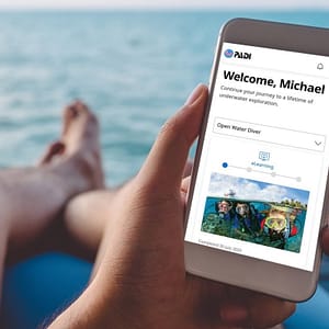 PADI Open Water Dykteori Online