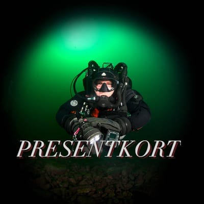 Presentkort