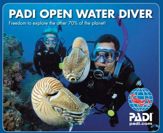 PADI Open Water Confined + Open Waterdyk - Bild 2